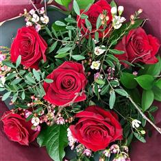 Romantic 6 Red Roses Hand Tied Bouquet 