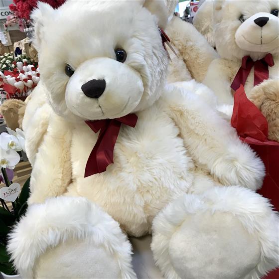 large cuddly bears